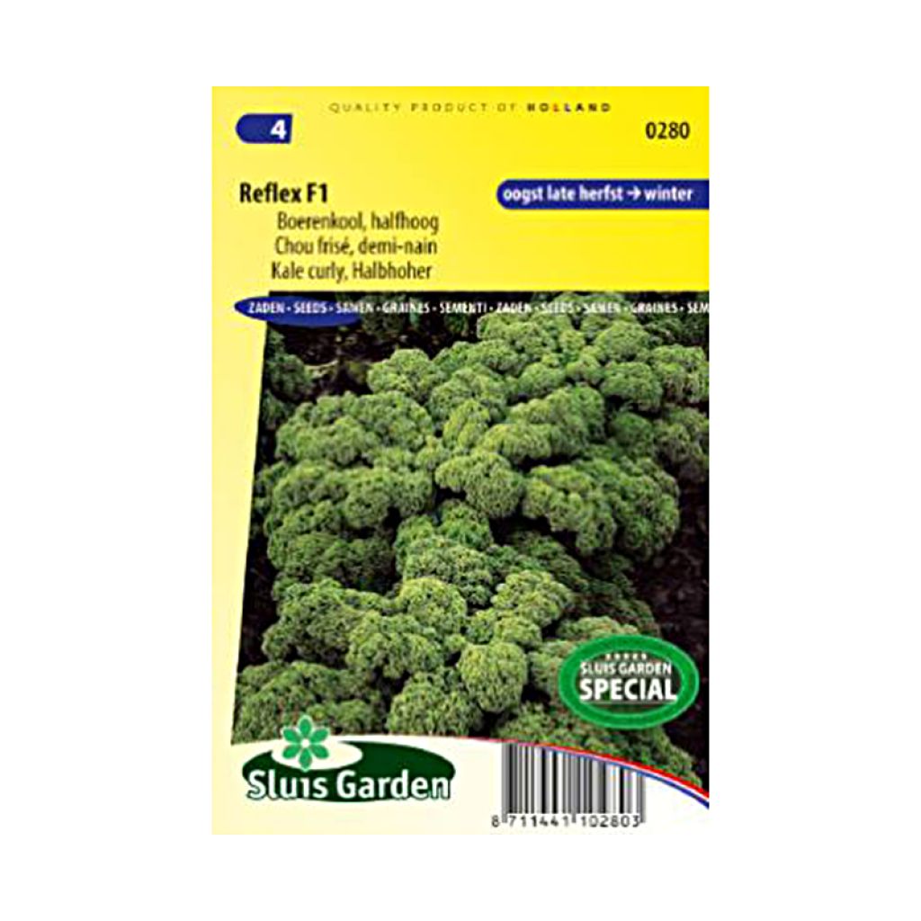 Grünkohl Westlandse Winter Bio