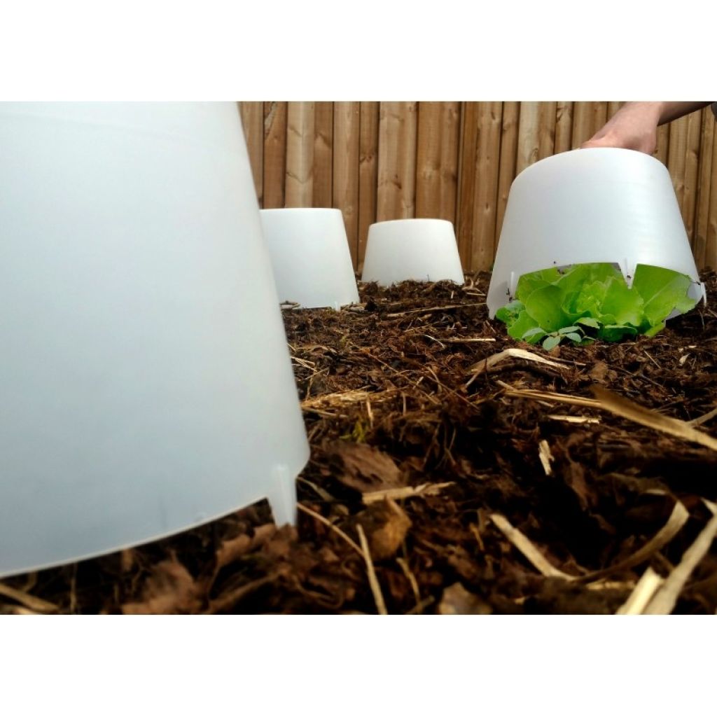 Transparente Salatschüssel Ø 24 cm x 15 cm - im 3er Pack erhältlich