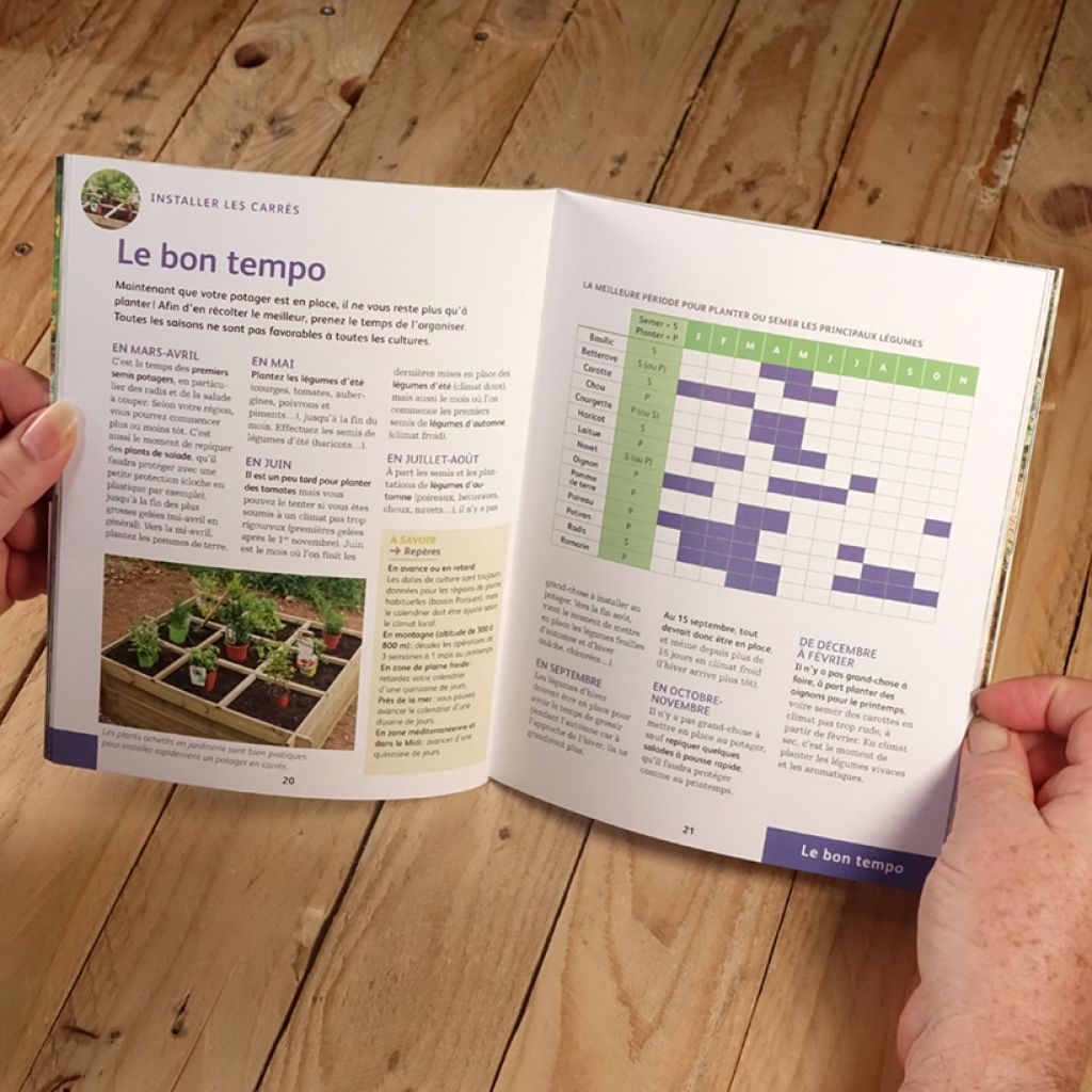 Créer un potager en carrés - Pour cultiver facilement des légumes toute l'année