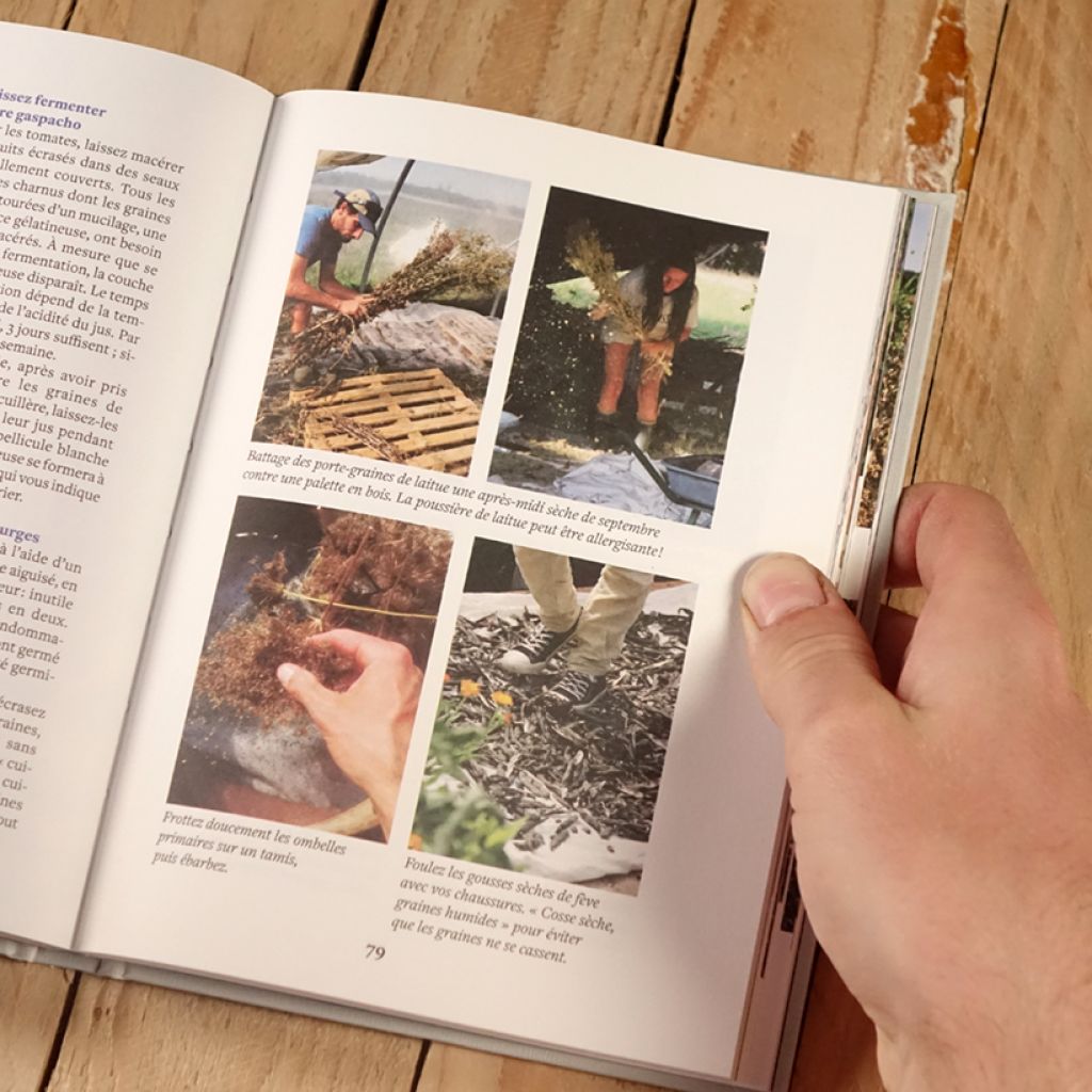 Faire ses graines potagères - Gagner en autonomie & préserver les variétés
