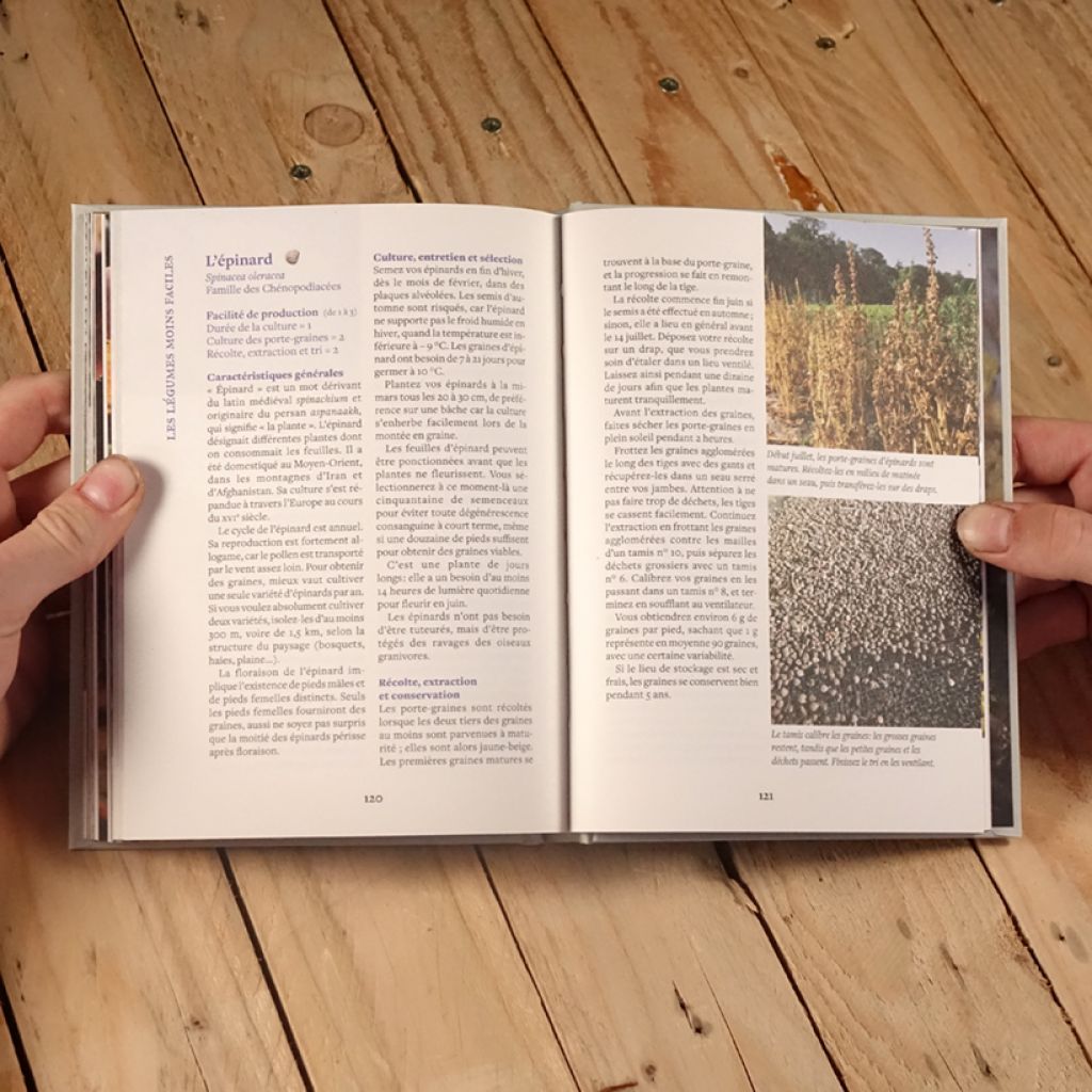 Faire ses graines potagères - Gagner en autonomie & préserver les variétés