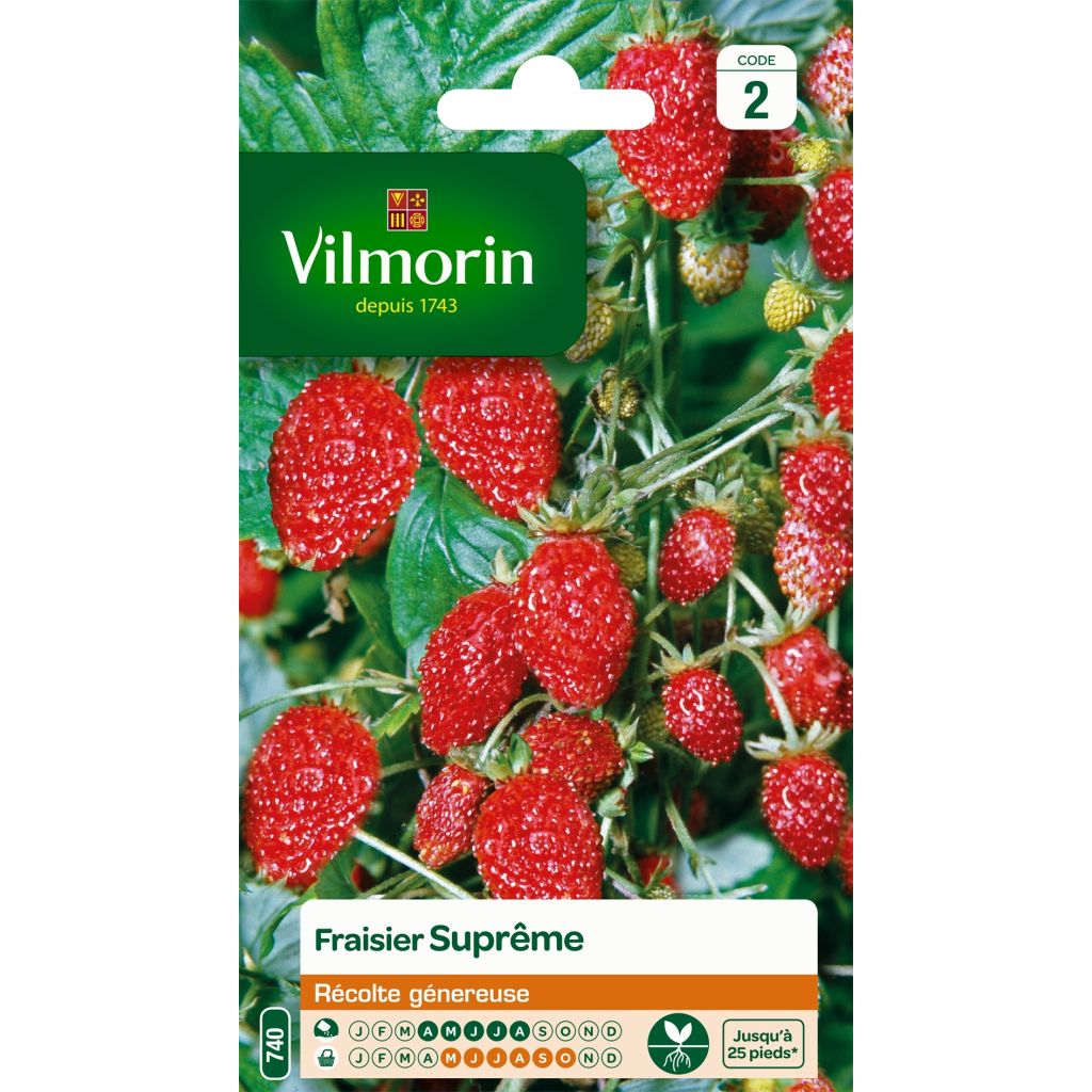 Fragaria vesca 4 saisons suprême - Vilmorin - Wald-Erdbeere
