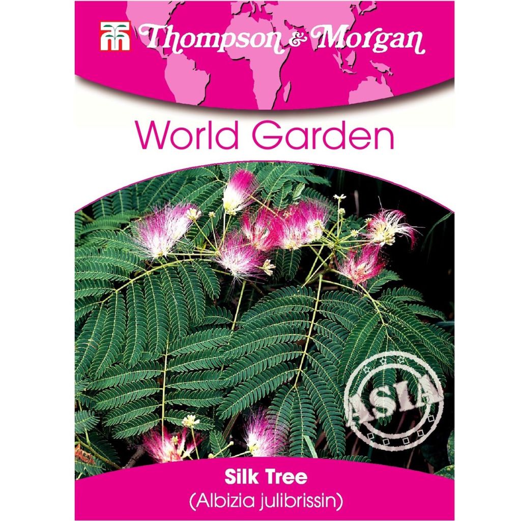 Albizia julibrissin (Samen) - Seidenakazie