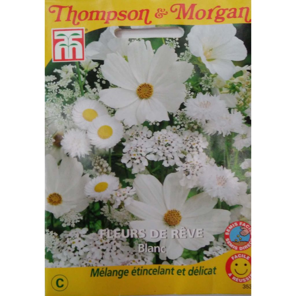 Traumhafte Blumensamen in Weiß