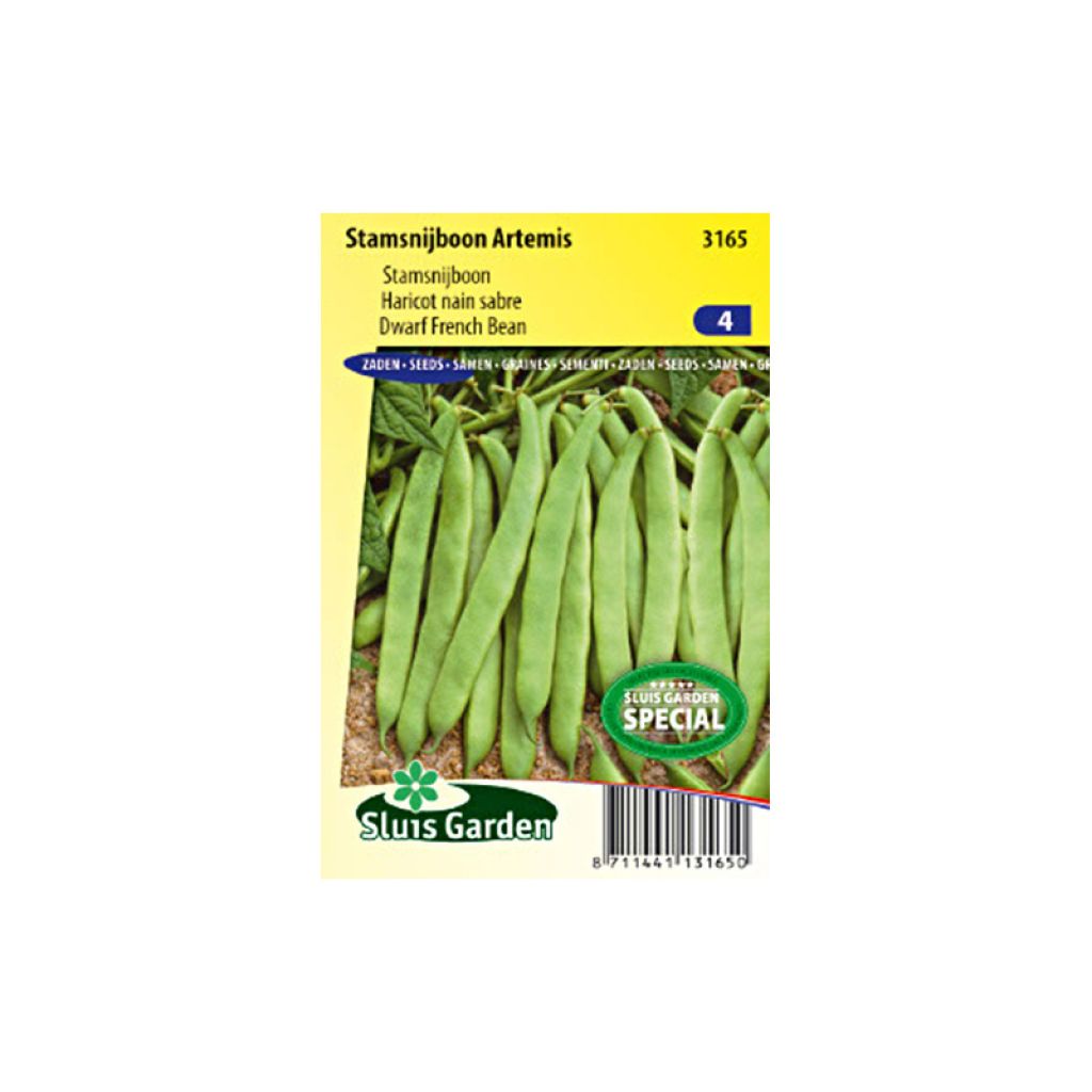 Zwergbohne Artemis