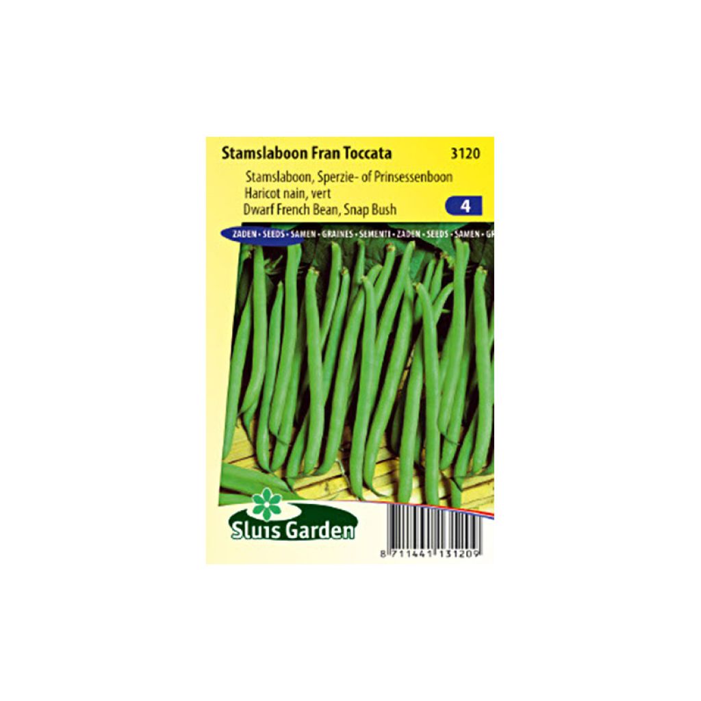 Zwergbohne Fran Toccata