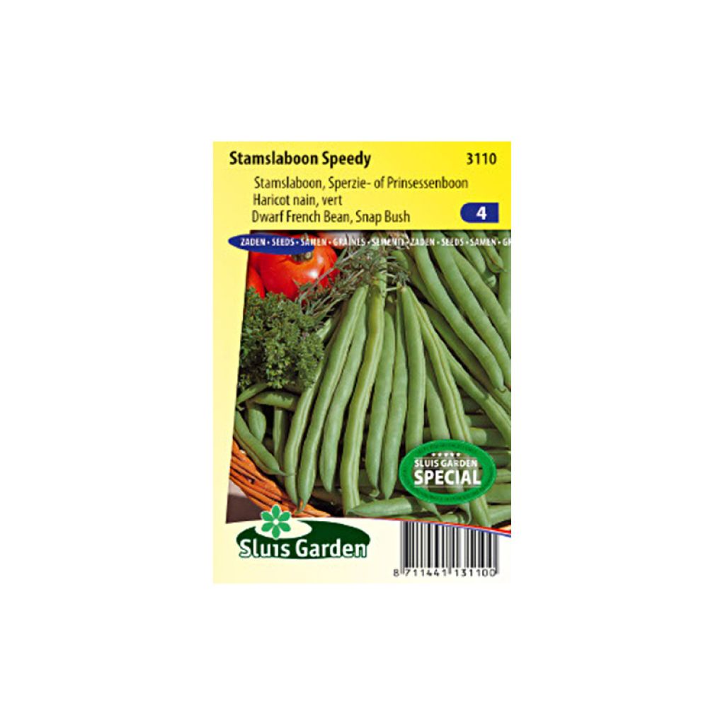 Zwergbohne Speedy