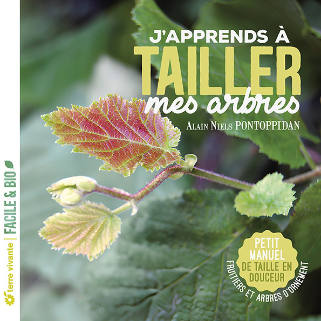 J'apprends à tailler mes arbres