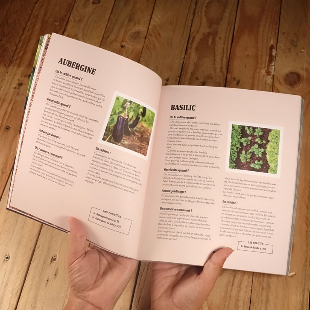 Je cueille et je cuisine mon potager