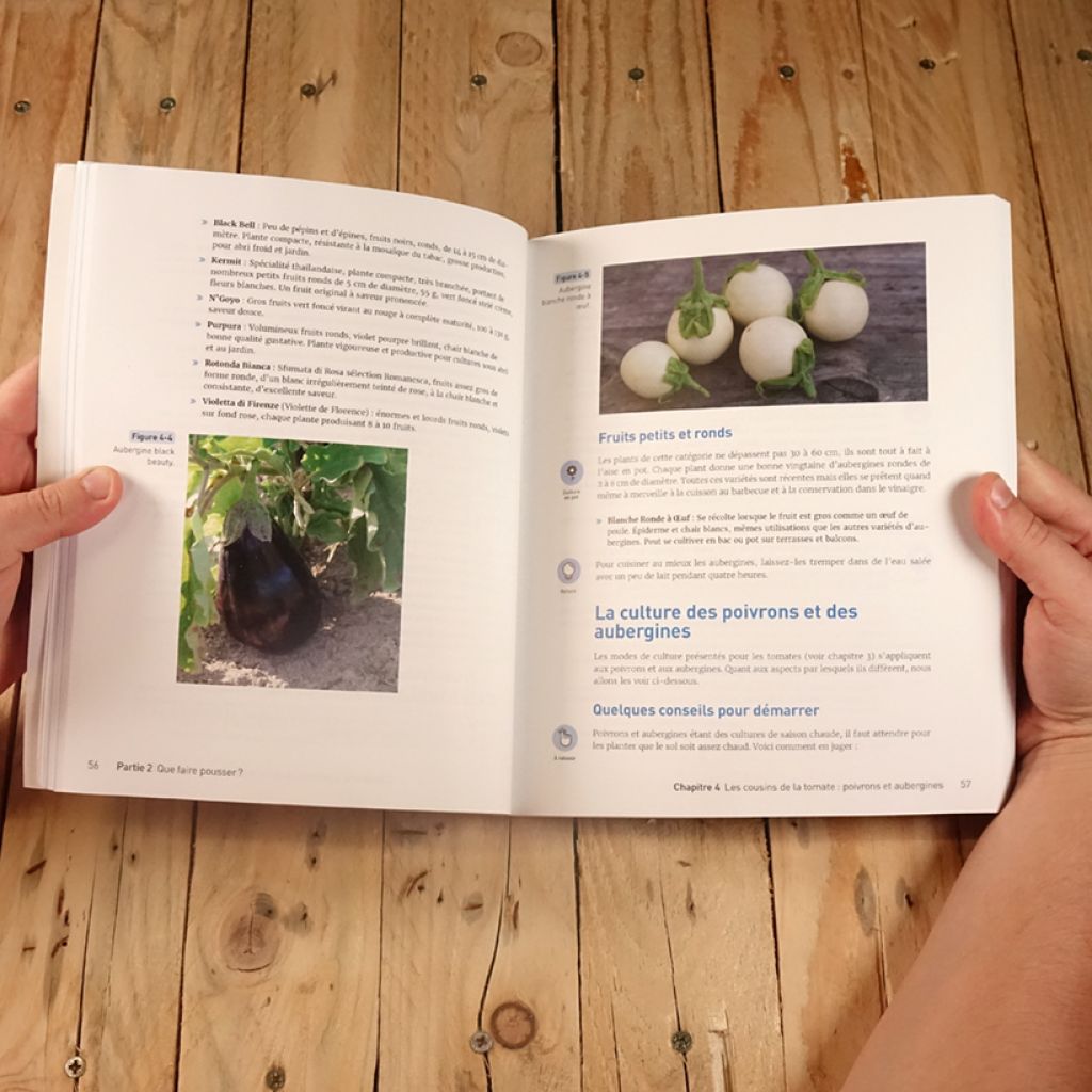 Je cultive mon potager pour les Nuls, grand format