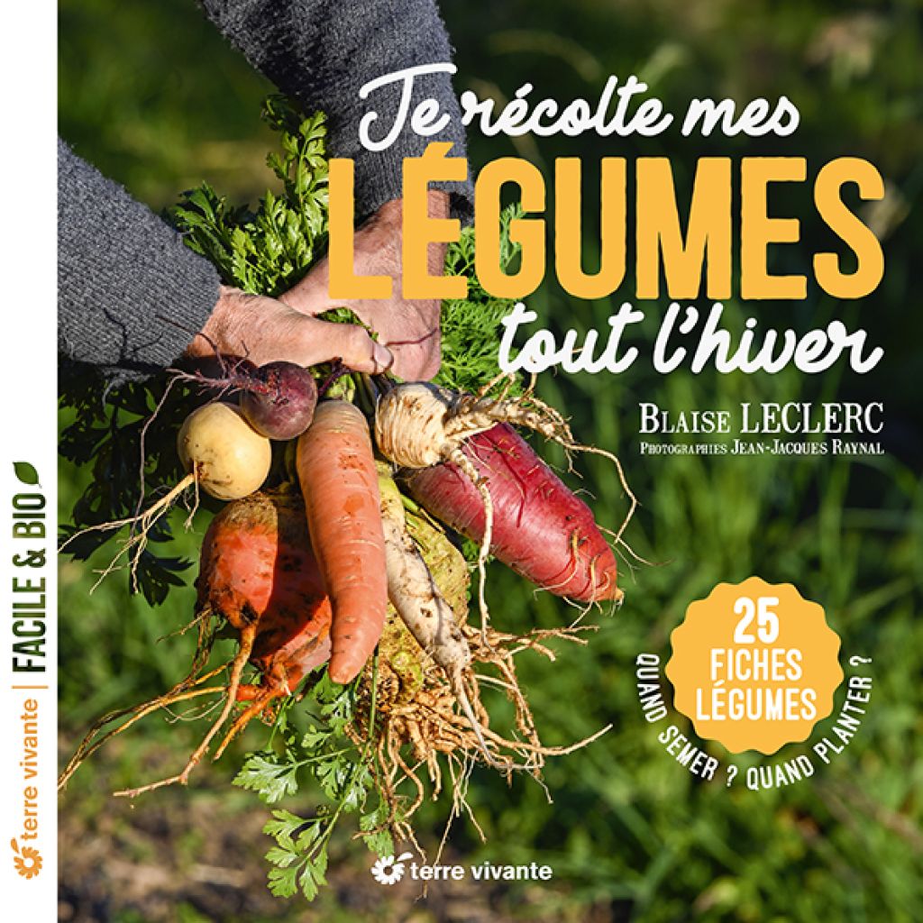 Je récolte mes légumes tout l’hiver
