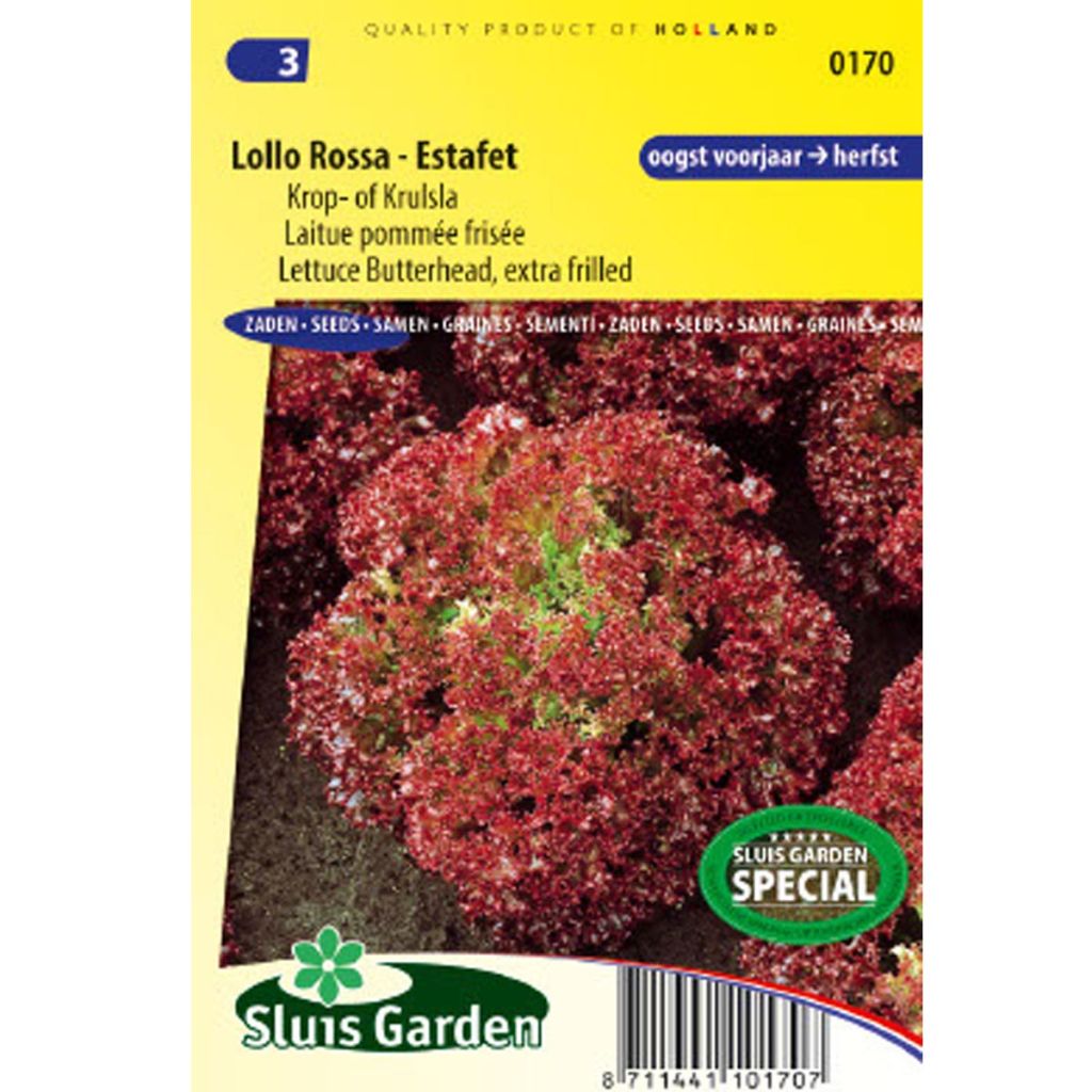 Schnittsalat Lollo Rossa - Estafet