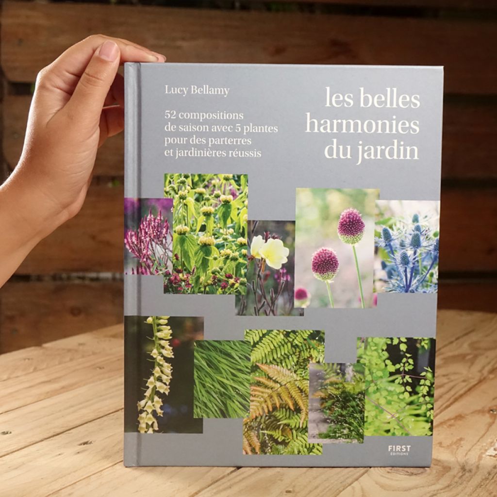 Les belles harmonies du jardin