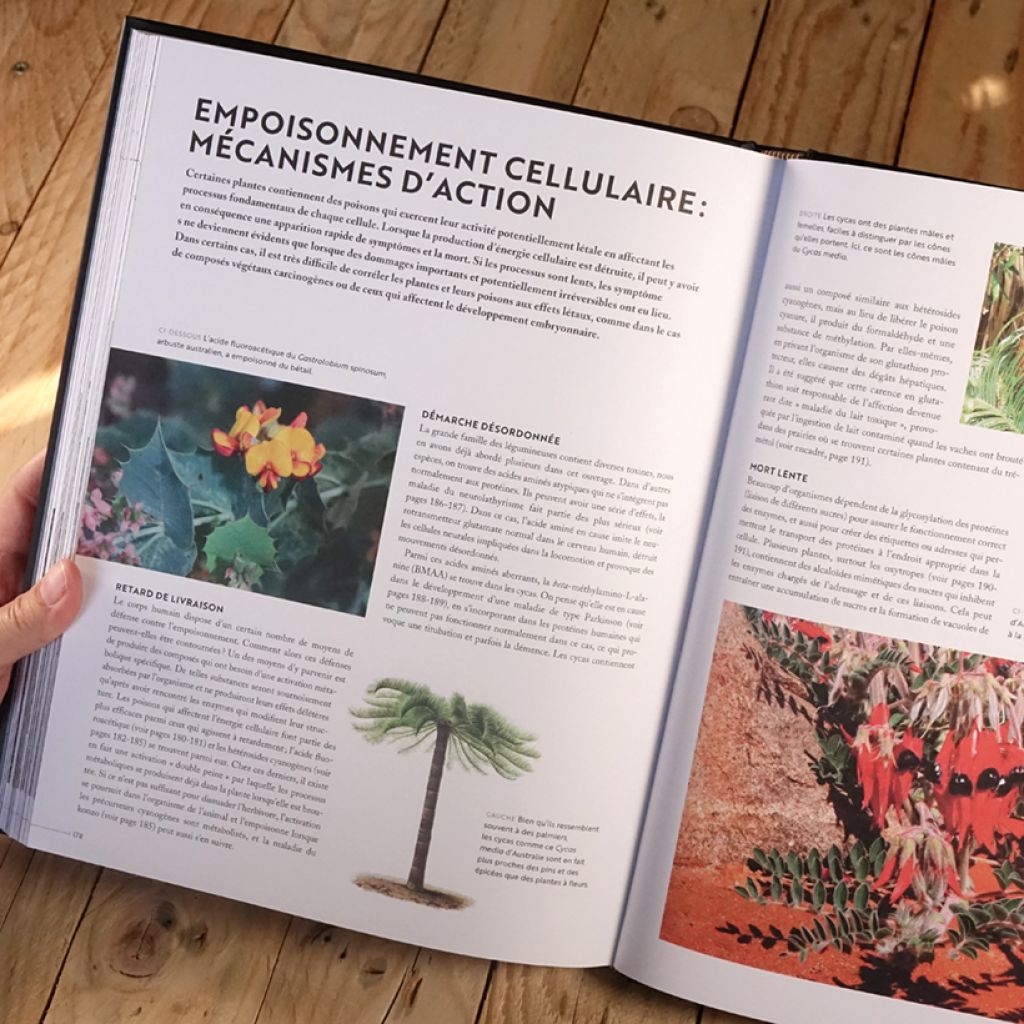 Les plantes qui tuent