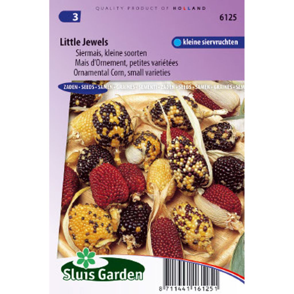 Zea mays var.gracillima Little Jewels (Samen) - Mais