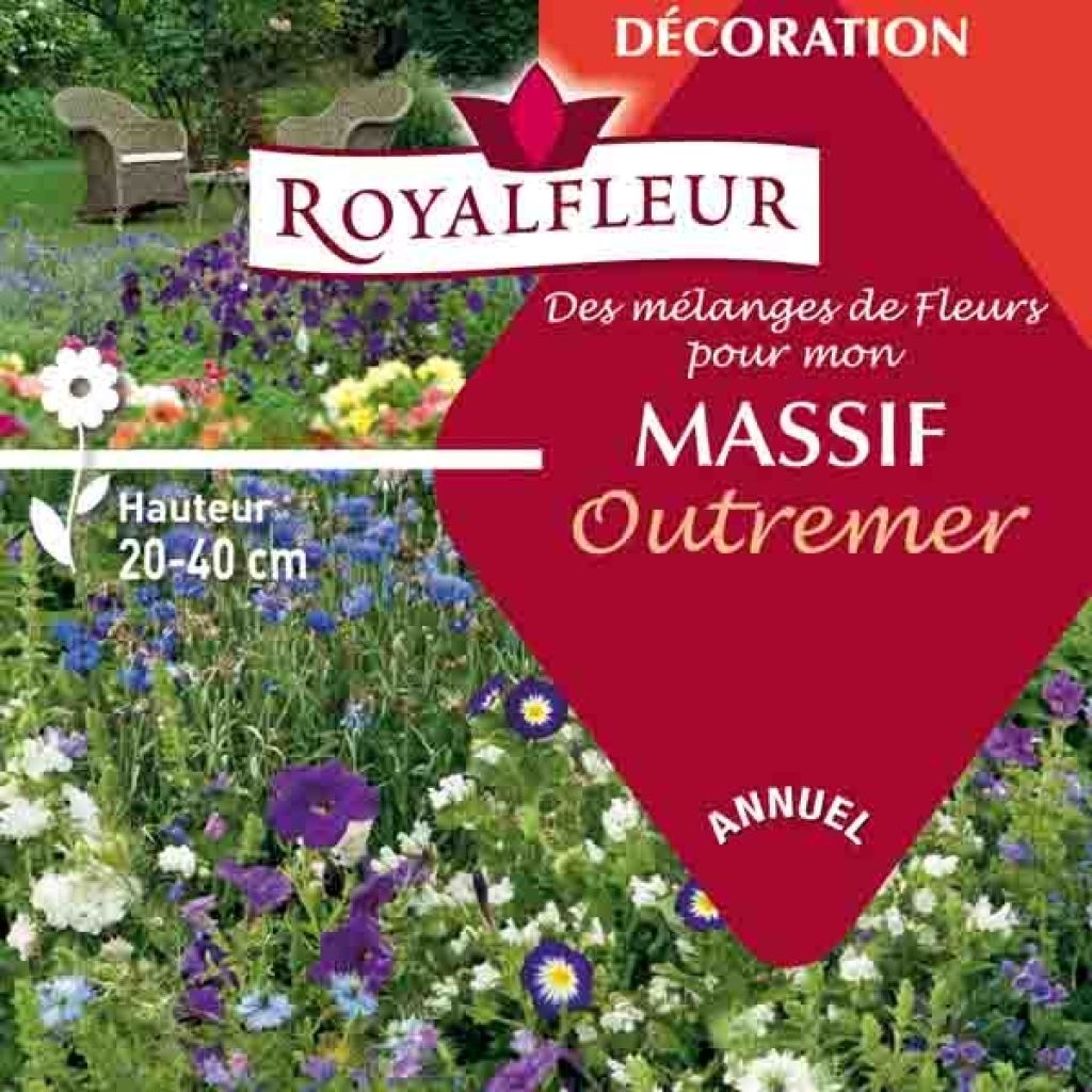 Staudenmischung Blau - 8 m2 Box