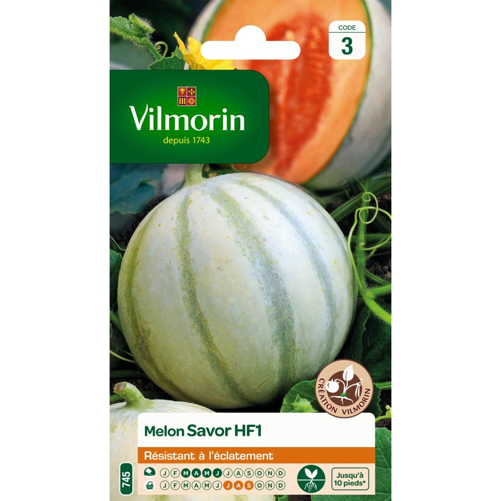 Melone Savor - Vilmorin