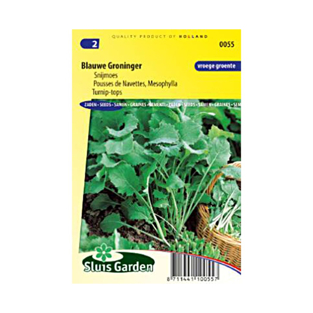 Rübe Blauwe Groninger