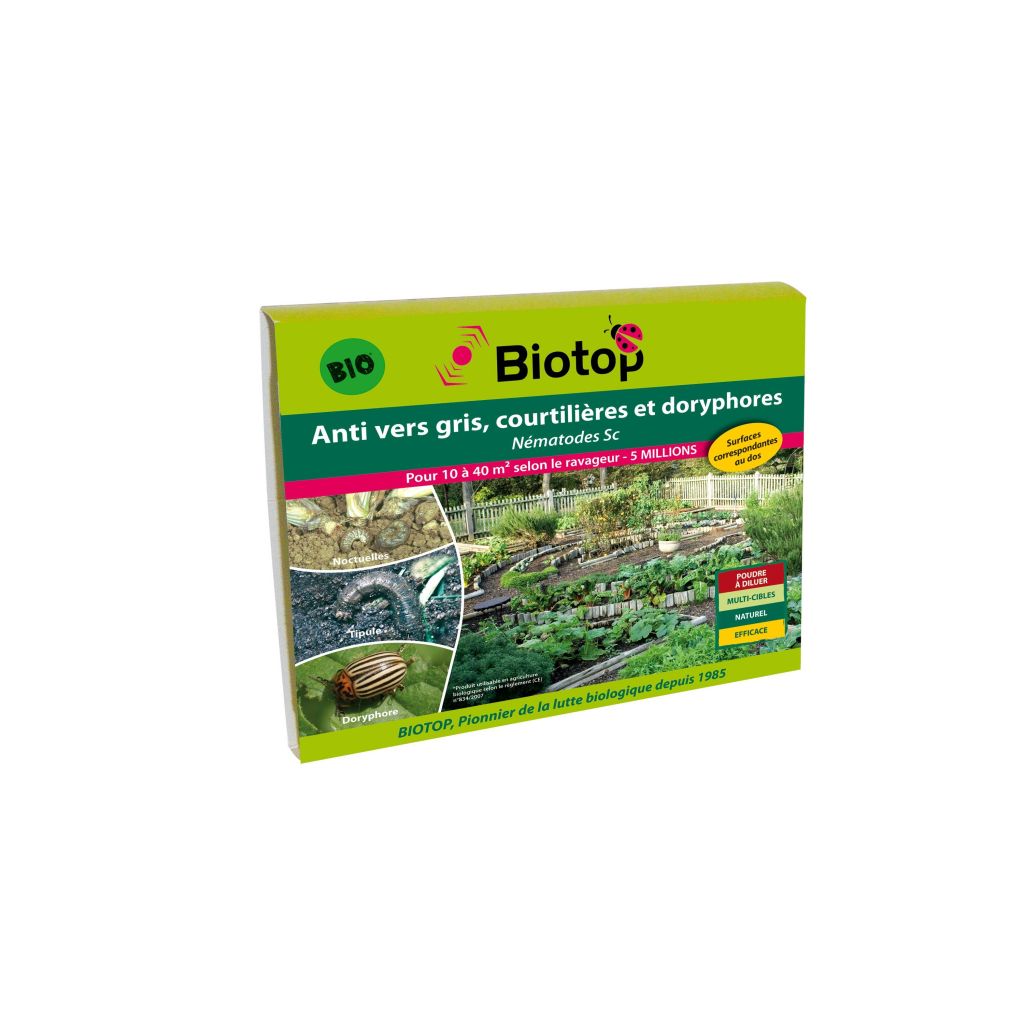 Nematoden gegen Grau- und Kartoffelkäfer Sc Biotop