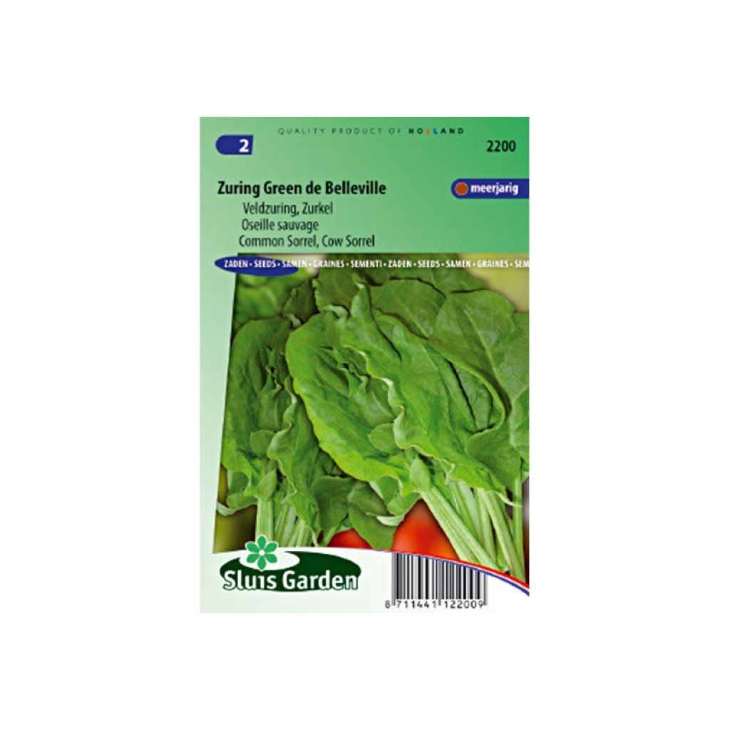 Ampfer (Samen) - Rumex acetosa