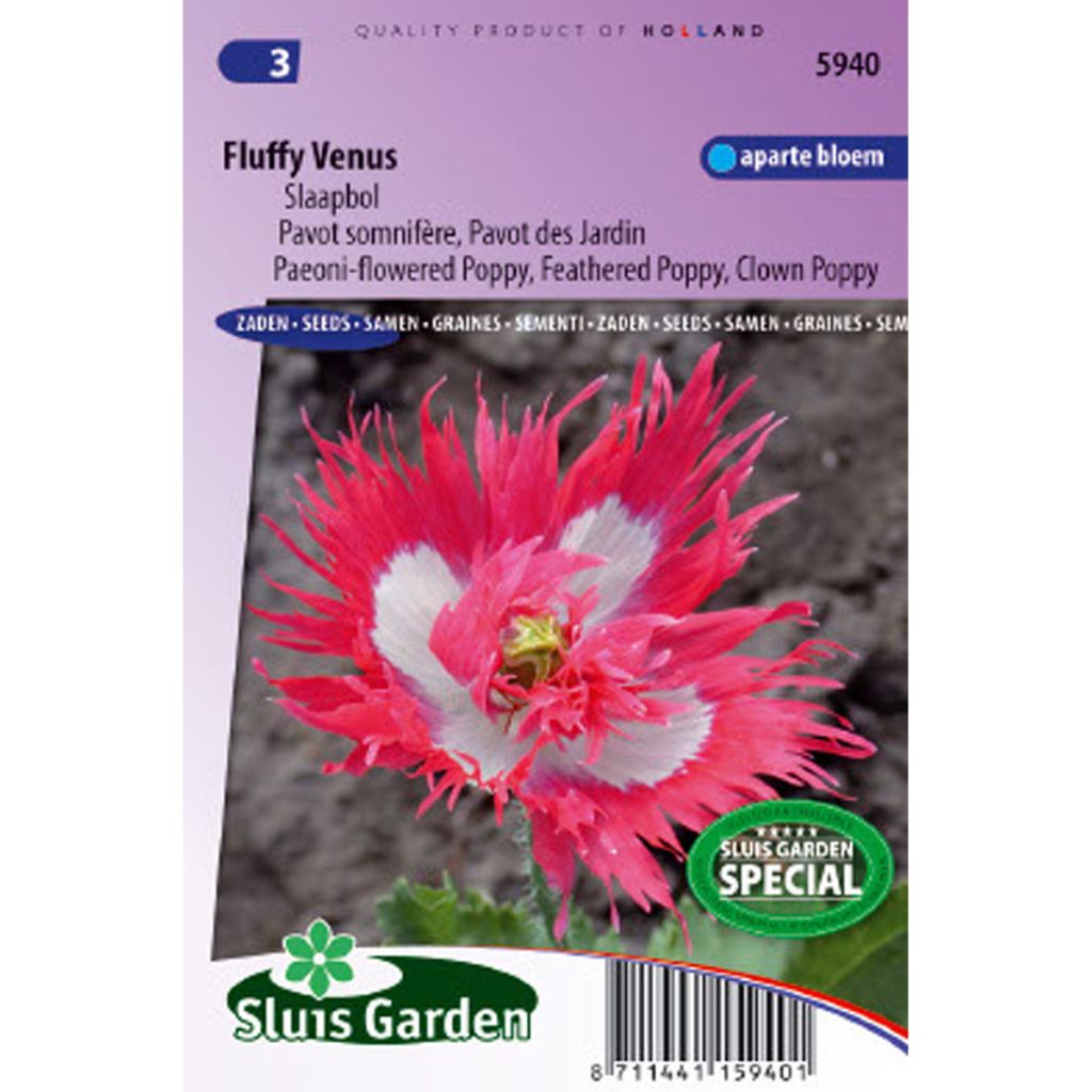 Schlafmohn Fluffy Venus (Samen) - Papaver