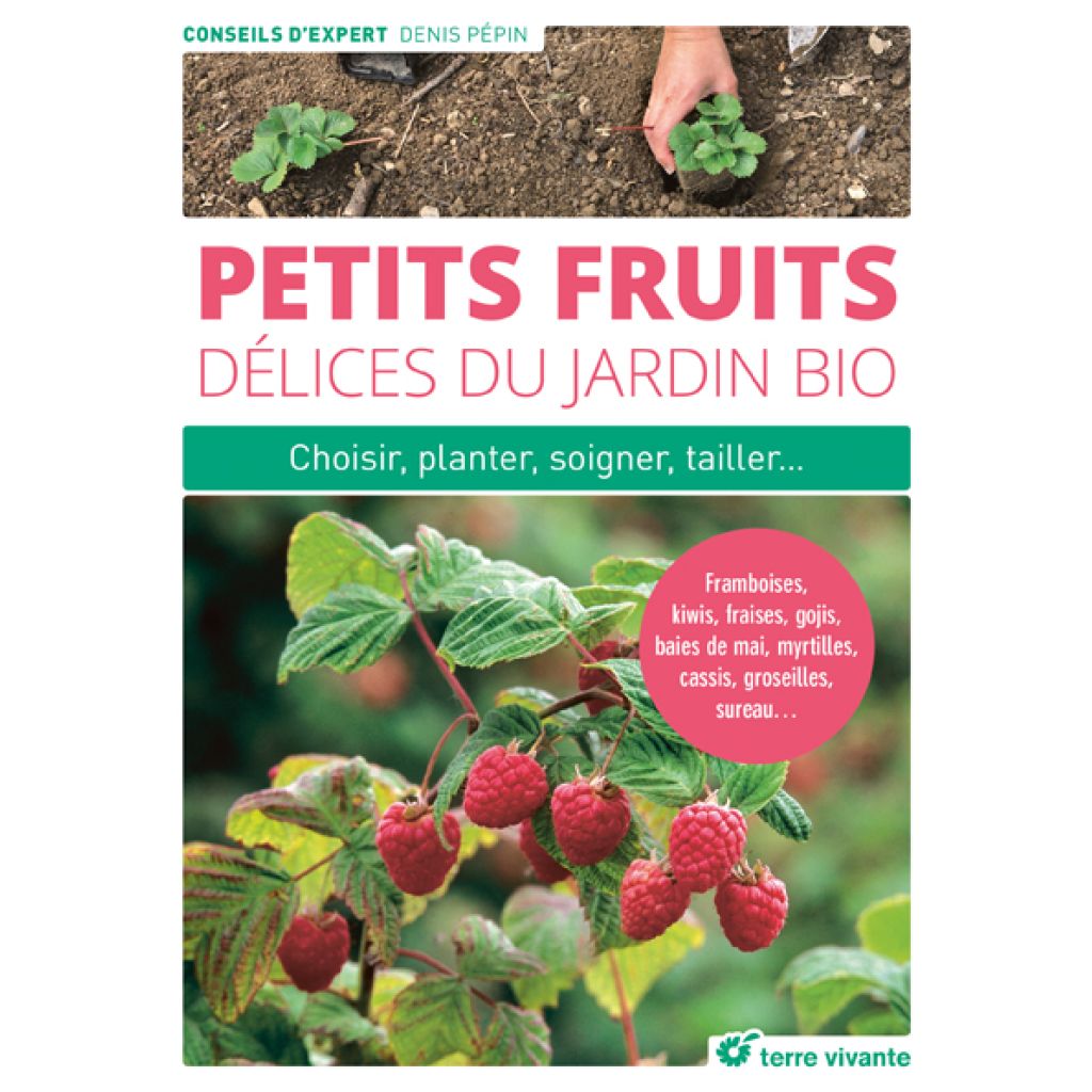 Petits fruits, délices du jardin bio