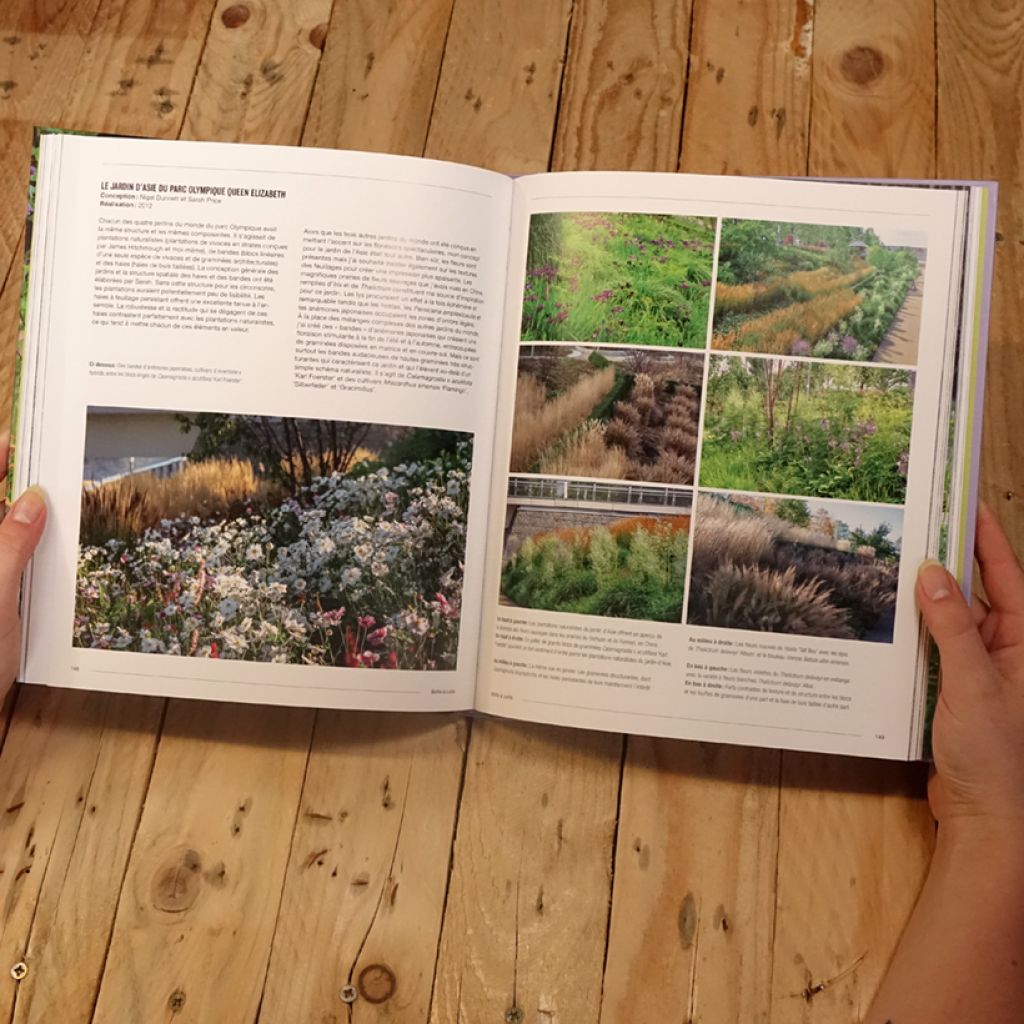 Plantations naturalistes - Introduire la nature dans les espaces verts et les jardins