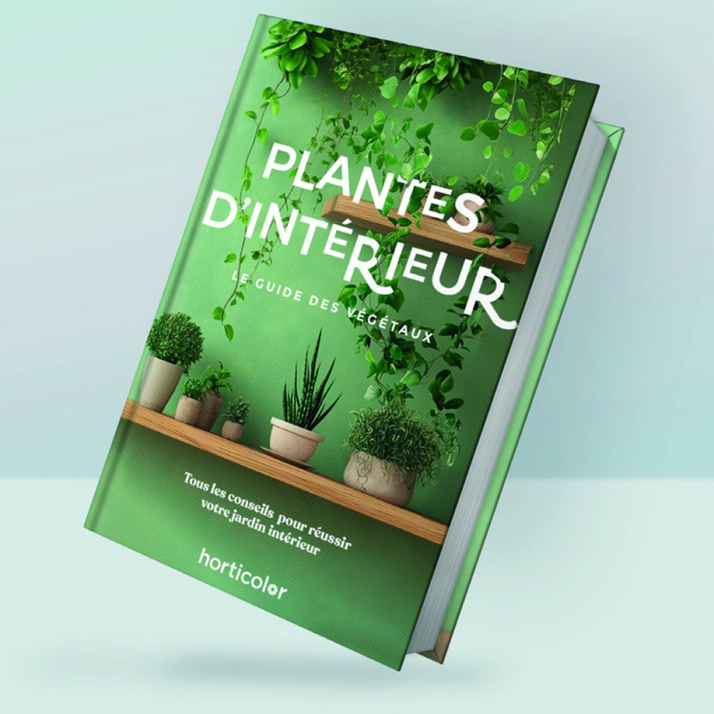 Plantes d’Intérieur - Guide Horticolor
