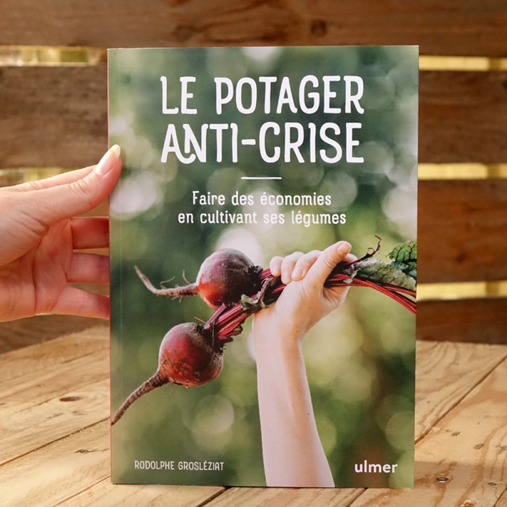 Le potager anti-crise - Faire des économies en cultivant ses légumes