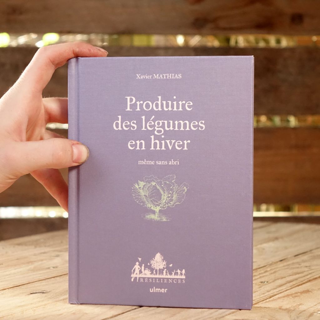 Produire des légumes en hiver - même sans abri