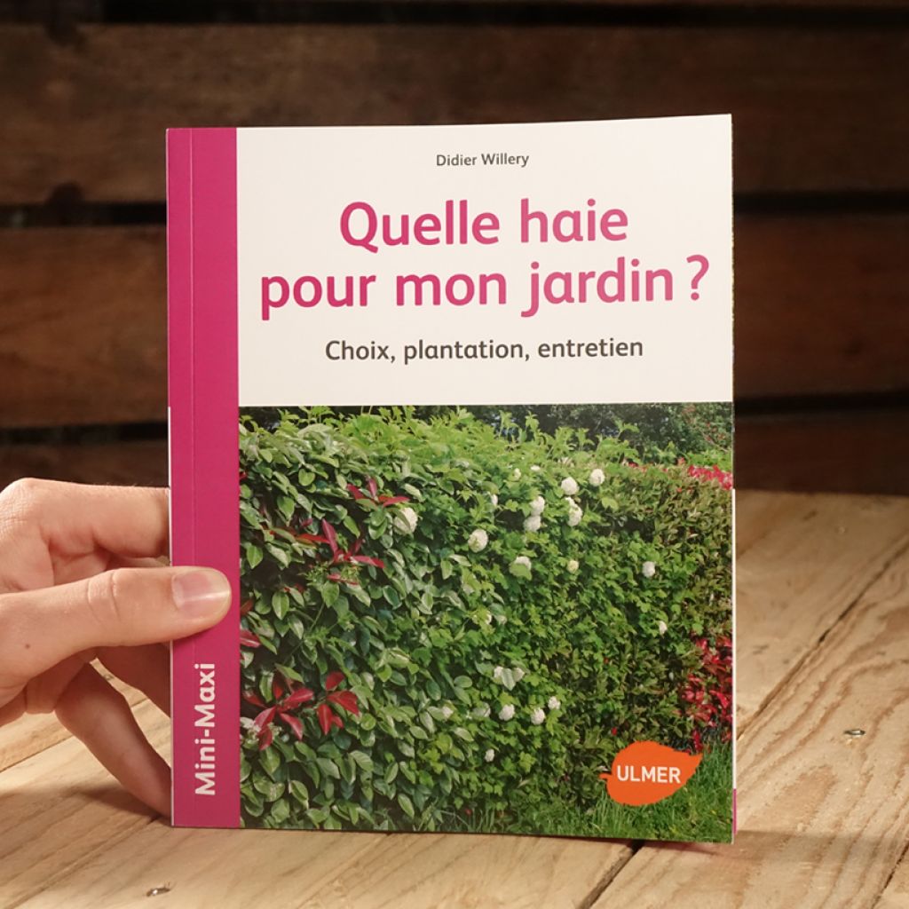 Quelle haie pour mon jardin ? Choix, plantation, entretien