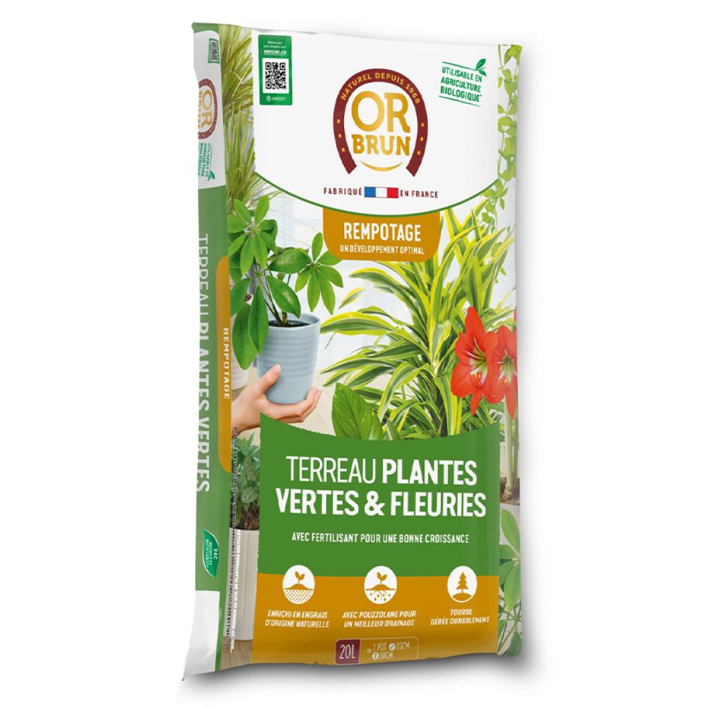Terreau Plantes vertes et fleuries d’intérieur Or Brun