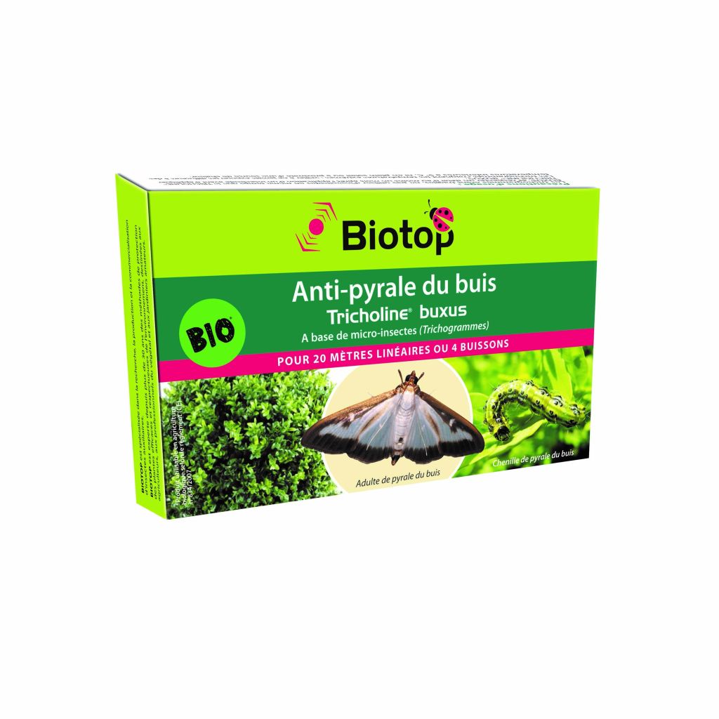 Tricholine® Buxus Biotop gegen den Buchsbaumzünsler, 4 Diffusoren pro Packung