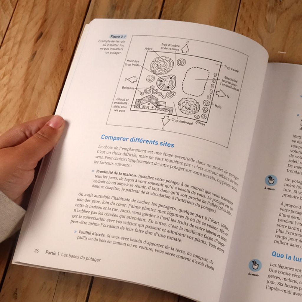 Un potager pour les Nuls