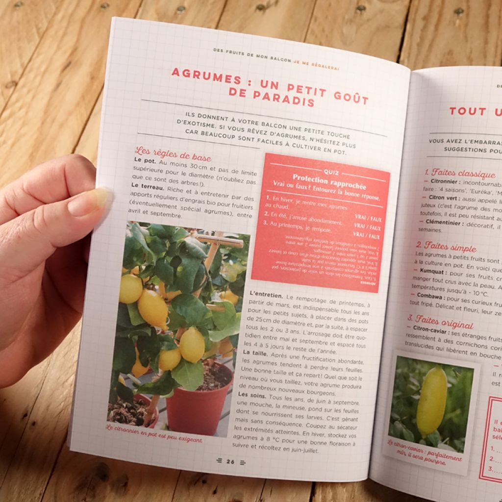 Un beau balcon, c'est très simple
