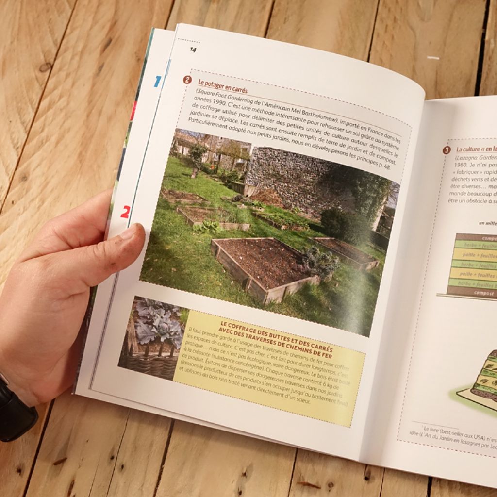 Un petit potager productif