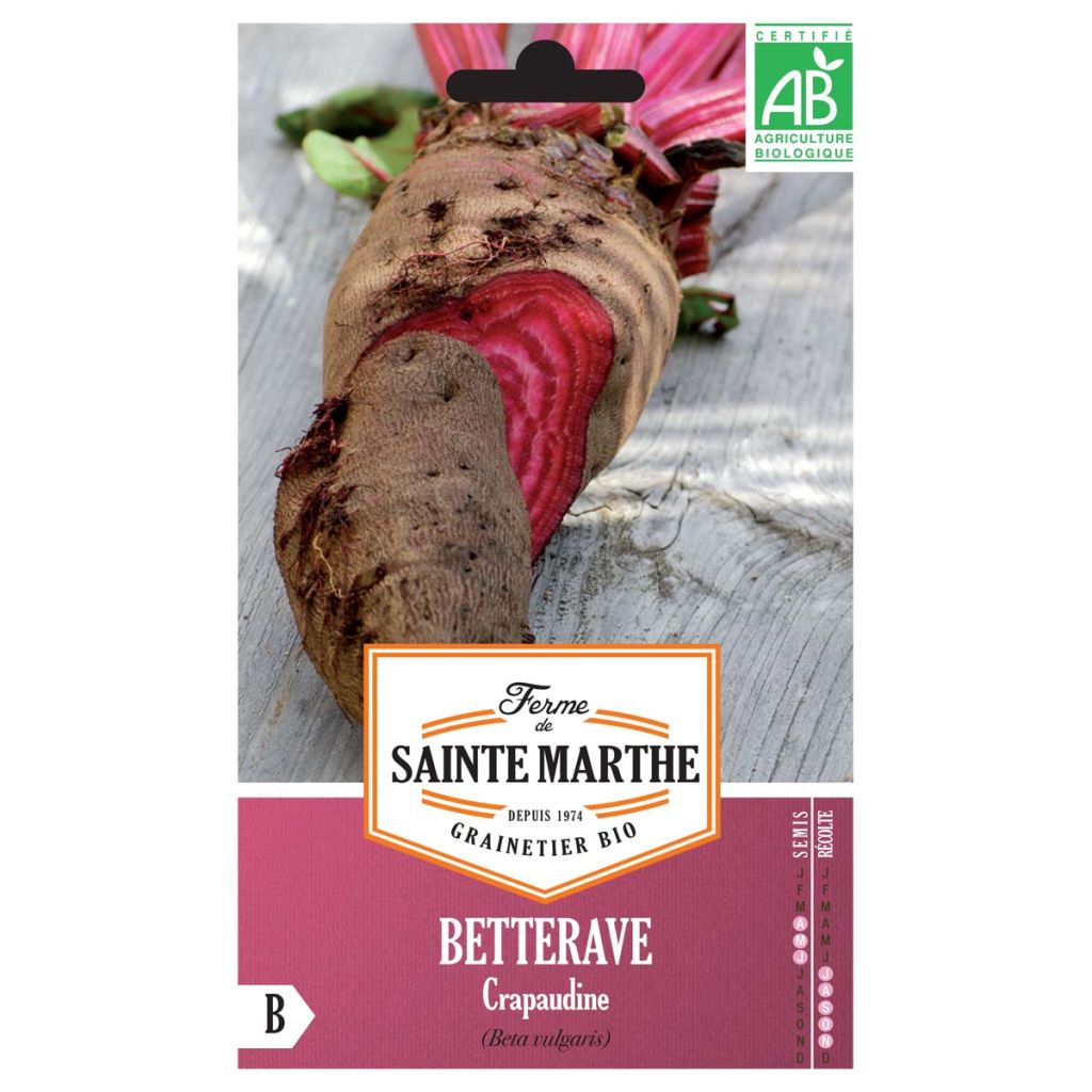 Rote Bete Crapaudine Bio- Ferme de Sainte Marthe