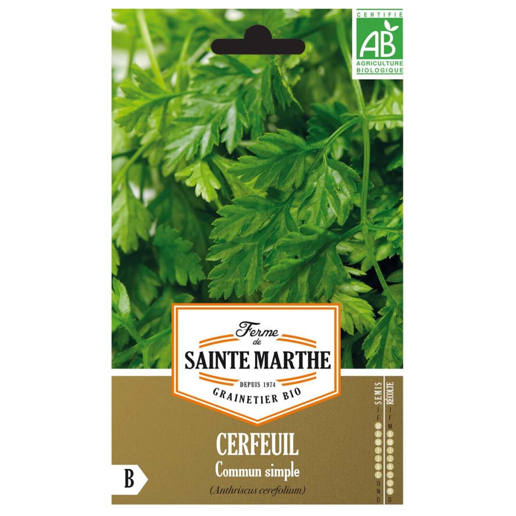 Garten-Kerbel Bio - Ferme de Sainte Marthe - Anthriscus cerefolium