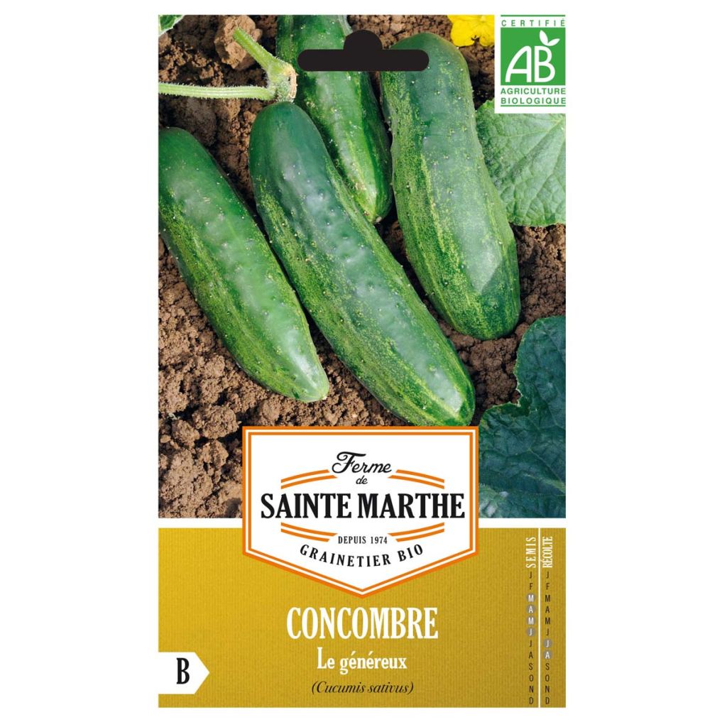 Salat-Gurke Le Généreux Bio - Ferme de Sainte Marthe