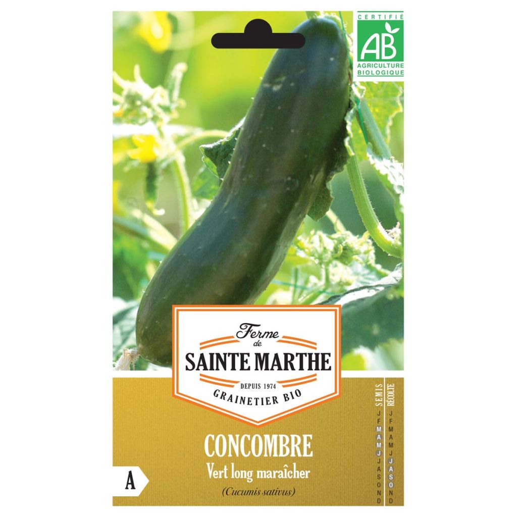 Salat-Gurke Vert long maraîcher Bio - Ferme de Sainte Marthe