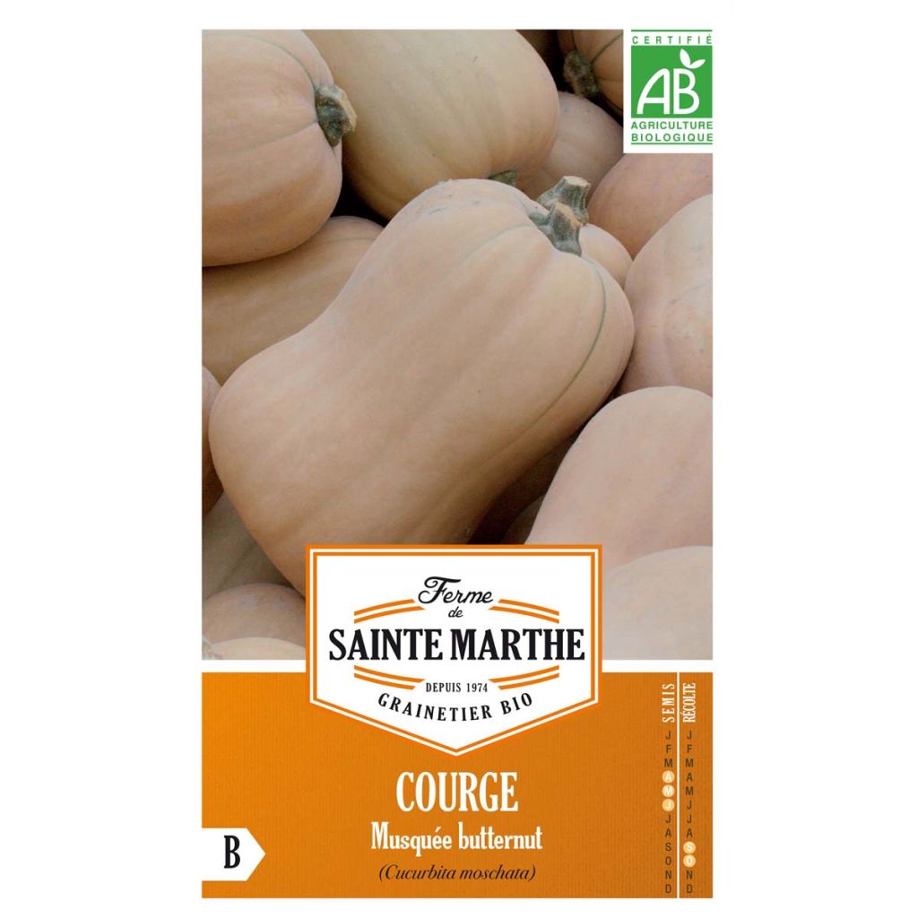 Moschus-Kürbis Musquée Butternut Bio - Ferme de Sainte Marthe