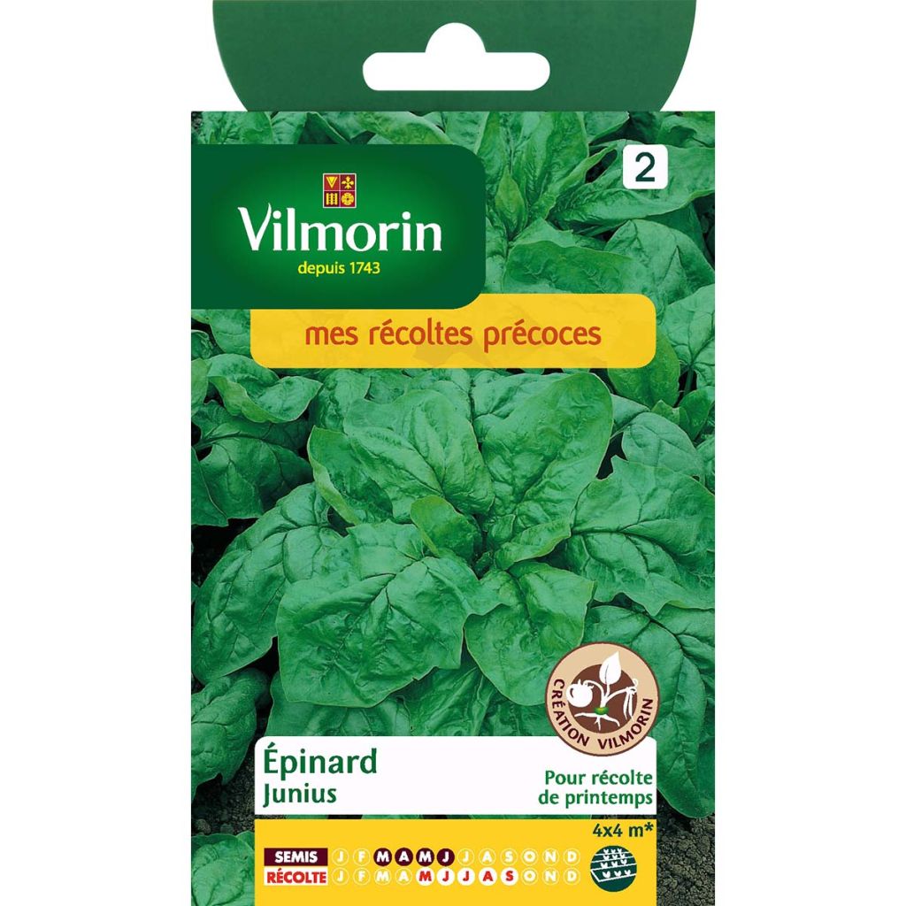 Spinat Junius - Vilmorin