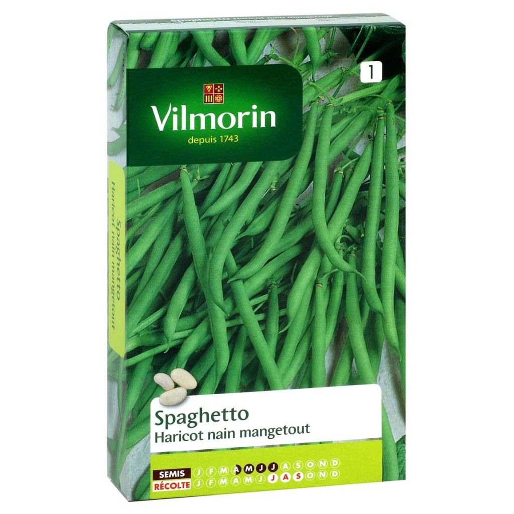 Zwergbohne Spaghetto - Vilmorin
