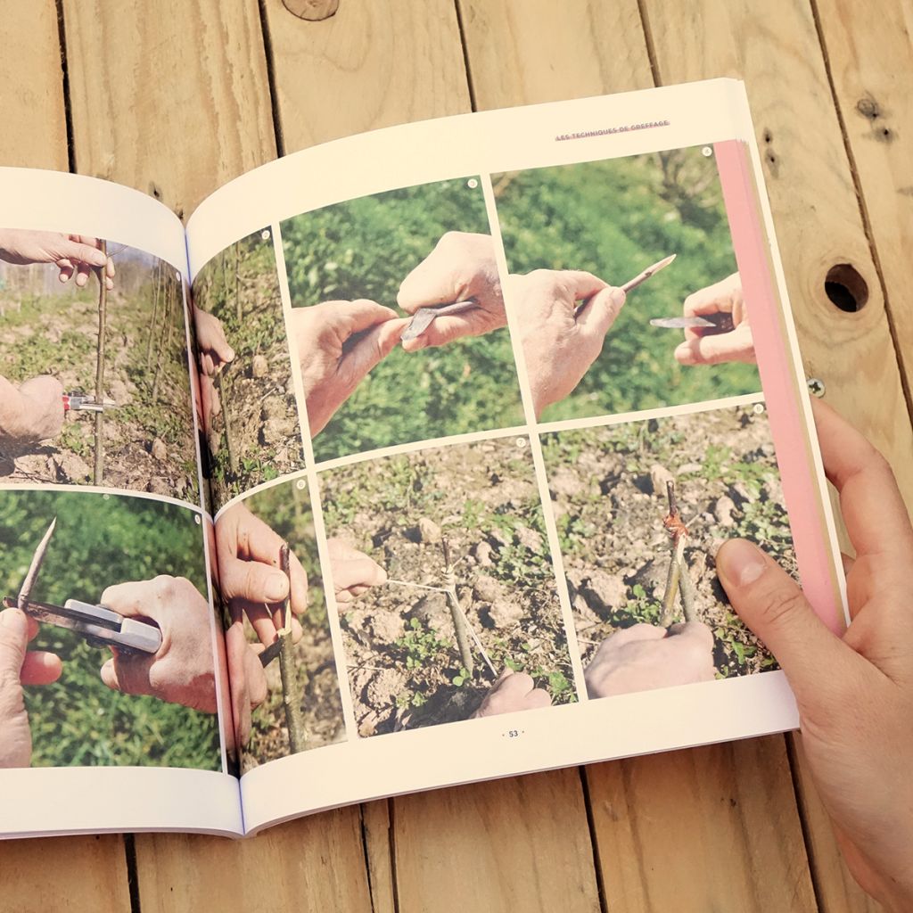 J'apprends à greffer mes fruitiers