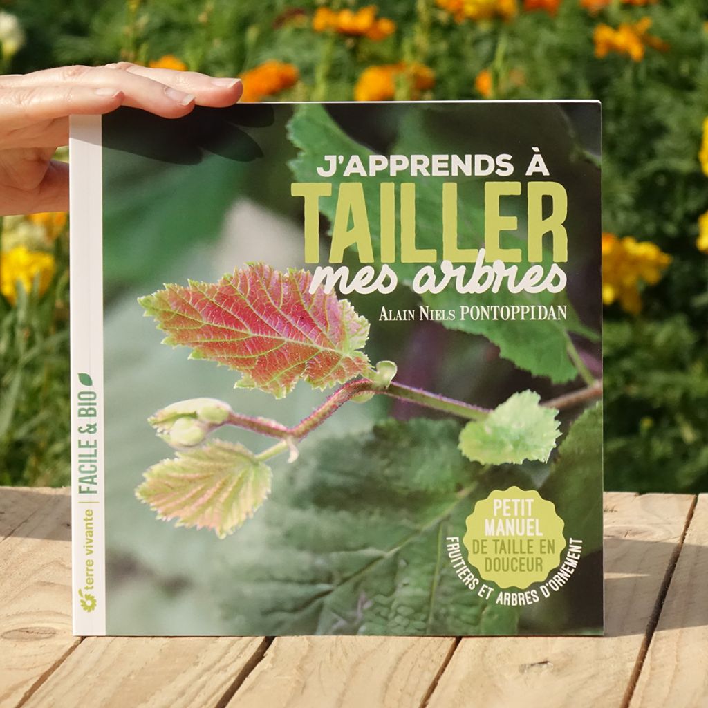 J'apprends à tailler mes arbres