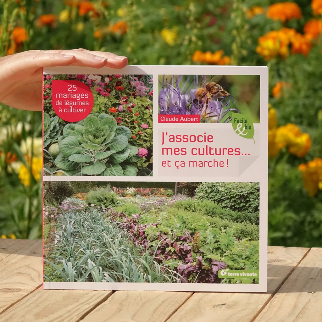 J'associe mes cultures ... et ça marche !