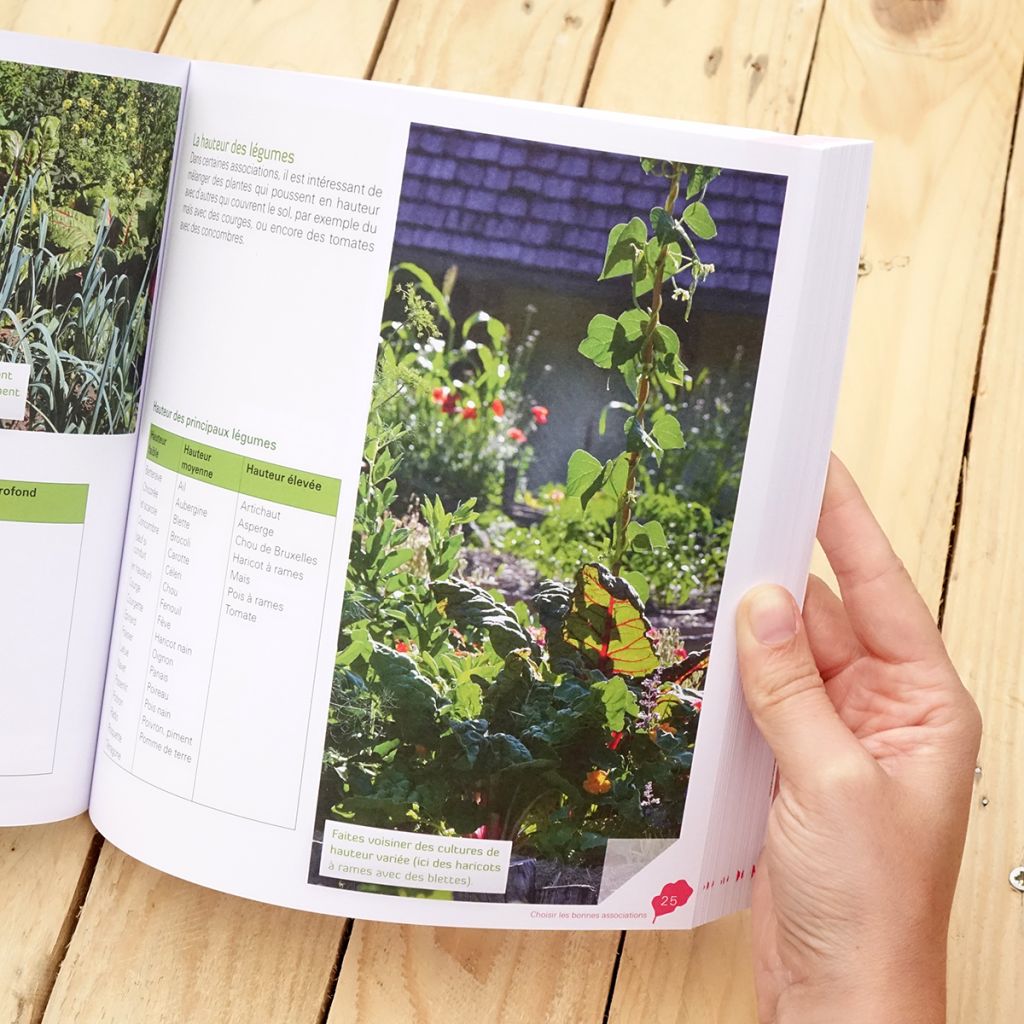 J'associe mes cultures ... et ça marche !