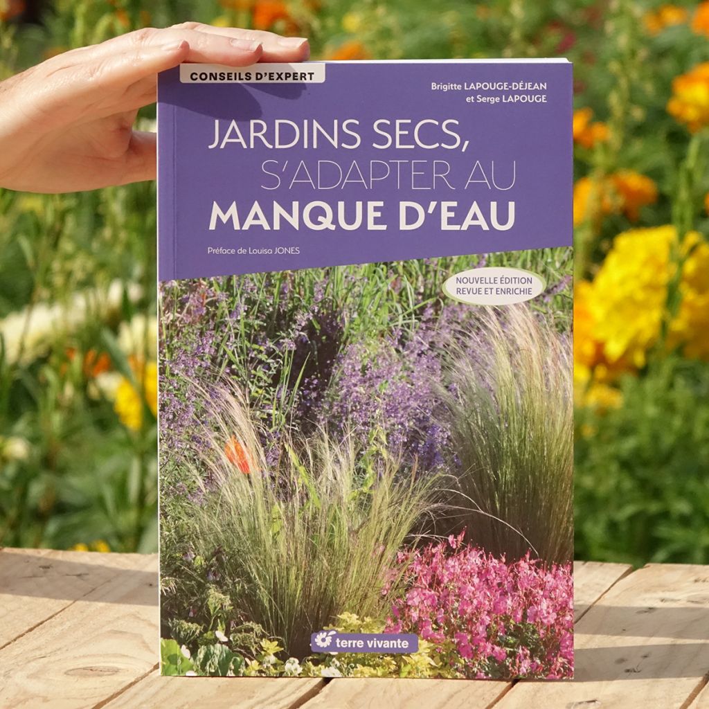 Jardins secs, s’adapter au manque d’eau - Nouvelle édition revue et enrichie
