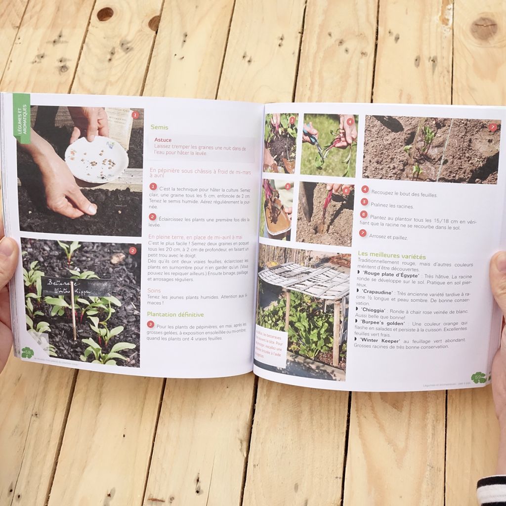 Je réussis mes plants du premier coup !