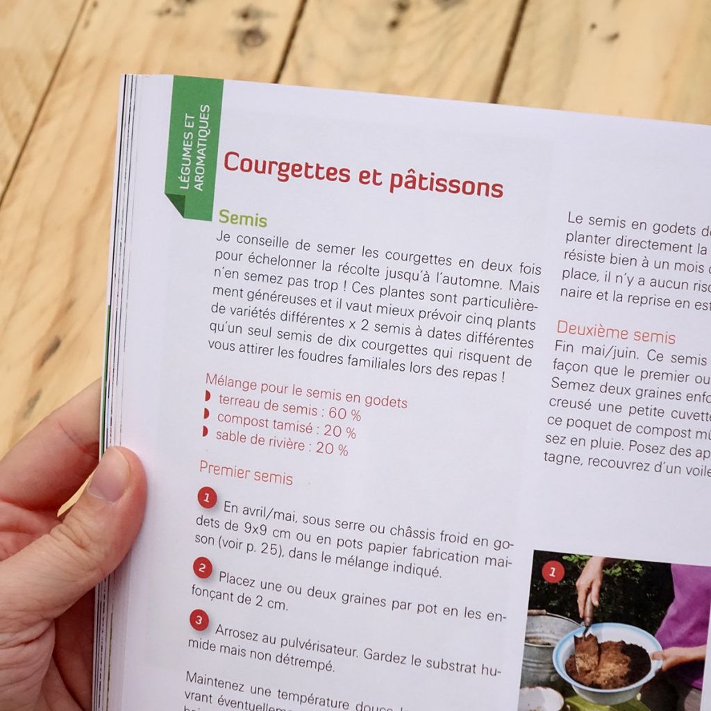 Je réussis mes plants du premier coup !